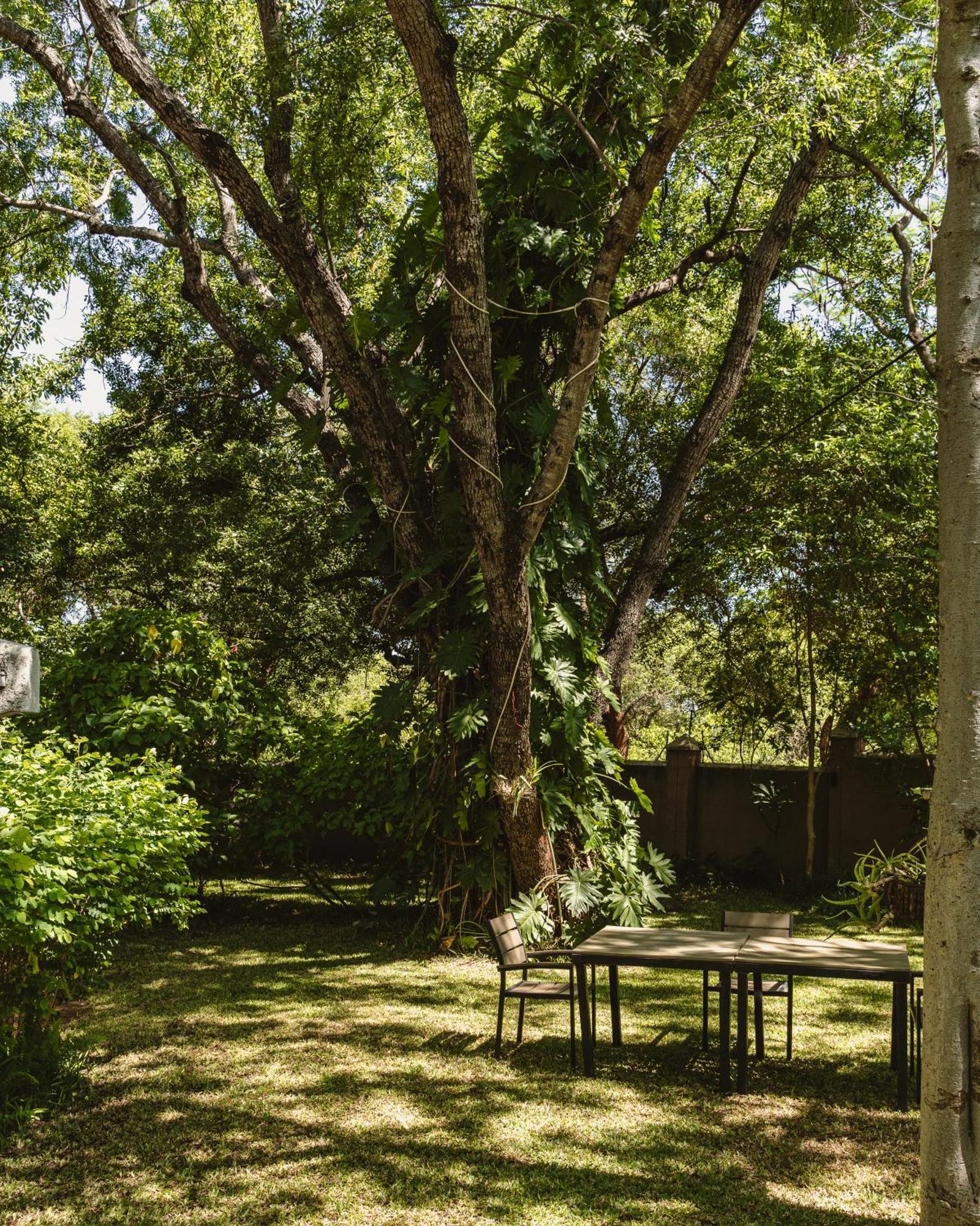 Jacaranda Lodge Victoria Falls Exterior photo