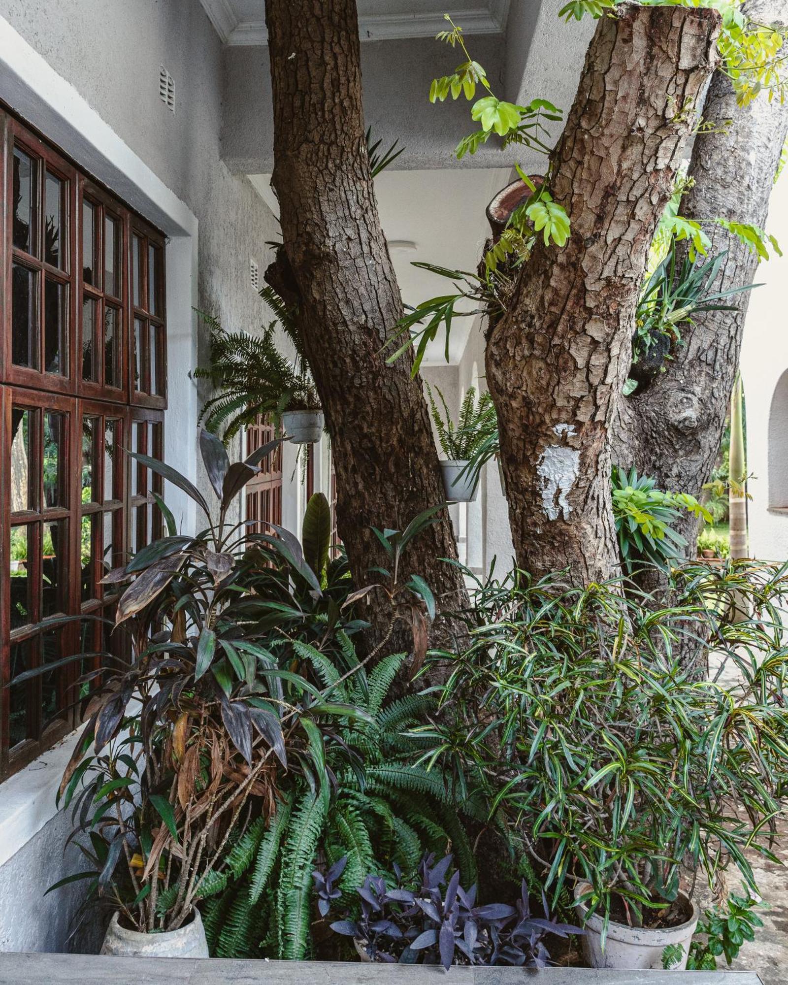 Jacaranda Lodge Victoria Falls Exterior photo